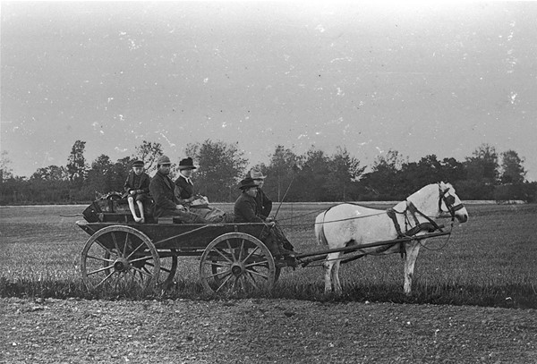 Fotografier i album